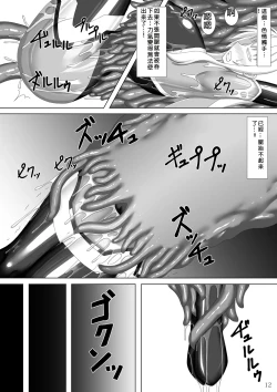 Page 13 of Taima Senkiden Go