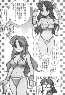 Page 15 of Koshou Sunzen Koshouchuu 8 Junbigou Ayaseka No Hitobito