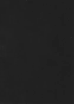 Page 2 of Femme Fatale.