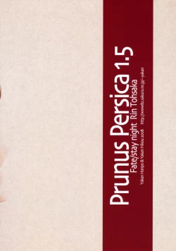 Page 26 of Prunus Persica 1.5