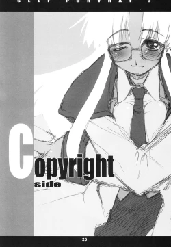 Page 25 of SELF PORTRAIT 3