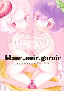 Page 1 of blanc,noir,garnir