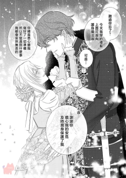 Page 17 of ai ga omoi kishi koushaku ha、tuihou reijou no subete wo ubai tukushitai。 | 爱得太深沉的骑士公爵，想要夺得流放千金的一切。 26