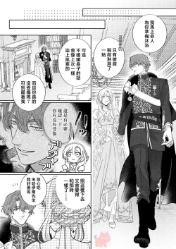 Page 19 of ai ga omoi kishi koushaku ha、tuihou reijou no subete wo ubai tukushitai。 | 爱得太深沉的骑士公爵，想要夺得流放千金的一切。 26