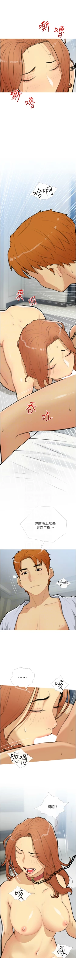 Page 338 of 糖果爸爸的抢婚大作战 | 糖果爸爸的搶婚大作戰 1-35 END