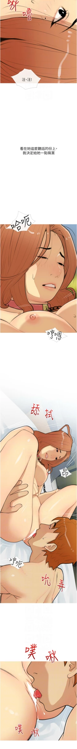 Page 343 of 糖果爸爸的抢婚大作战 | 糖果爸爸的搶婚大作戰 1-35 END