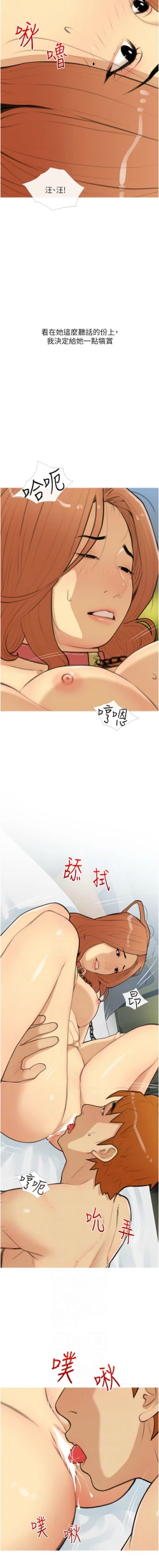 Page 347 of 糖果爸爸的抢婚大作战 | 糖果爸爸的搶婚大作戰 1-35 END