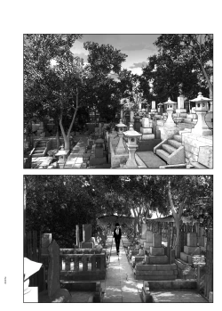 Page 249 of Monogatari no youni