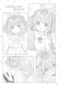 Page 24 of Usamimimaid to koibitoH