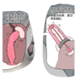 Page 2 of 《被拉走玩坏的自缚伪娘》