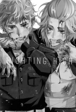 Page 2 of Fighting high