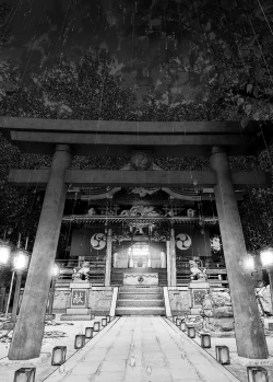 Page 177 of Monogatari no youni | 正如我们共同谱写的故事那般