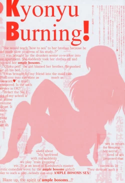 Page 3 of Kyonyu Enjou