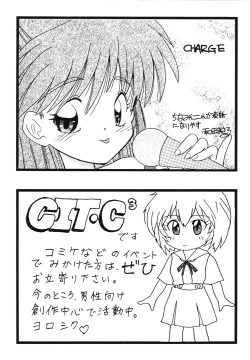 Page 161 of ProjectE Dainiji Chuukanhoukoku