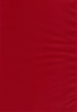 Page 2 of Akebi no Mi - Satomi AFTER