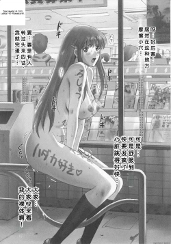 Page 7 of Hooliganism 16 - Record of ALDELAYD Act.11 ExhibitionDX8