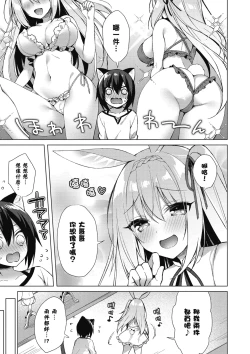 Page 163 of 我理想的異世界生活 轉生後在滿是獸耳娘的世界開後宮 1