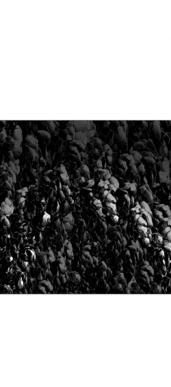 Page 381 of 迷宫干