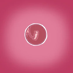 Page 24 of Yumi no Ryuugaku | 由美的留学生活