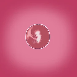 Page 62 of Yumi no Ryuugaku | 由美的留学生活