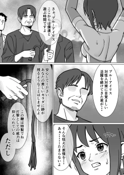 Page 5 of 聖騎天翔ブルーアイリス2