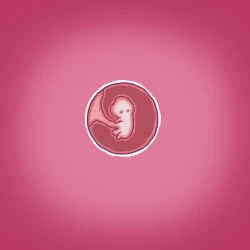 Page 46 of Yumi no Ryuugaku | 由美的留学生活