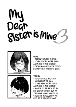 Page 3 of Boku no Onee-chan 3 | My Dear Sister is Mine 3