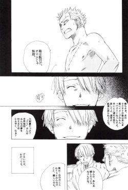 Page 81 of TCNX-2004