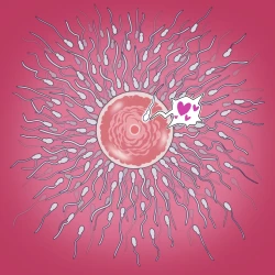 Page 18 of Yumi no Ryuugaku | 由美的留学生活