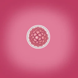 Page 22 of Yumi no Ryuugaku | 由美的留学生活