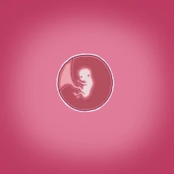 Page 71 of Yumi no Ryuugaku | 由美的留学生活