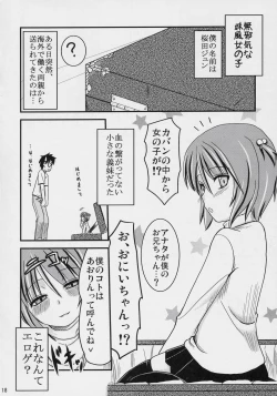 Page 17 of Souseiseki Kaizou Keikaku