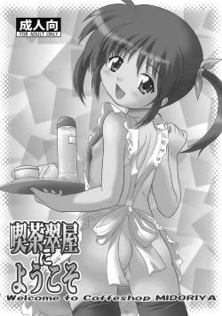 Page 34 of Nanoha Dukushi Mahou Shoujo Lyrical Nanoha Soushuuhon