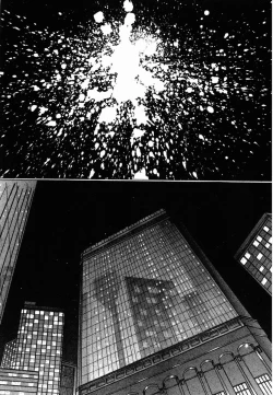 Page 170 of VAMPIRE MASTER 03