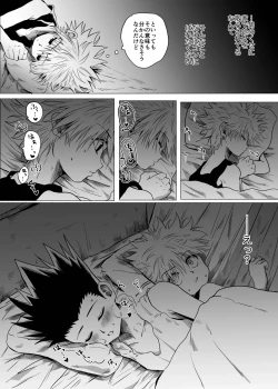 Page 13 of Hito ni wa Ienai