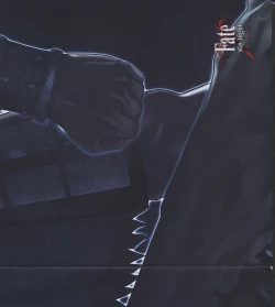 Page 85 of Fate/stay night Premium FanBook