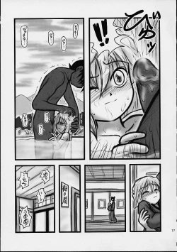 Page 16 of Daihaibara