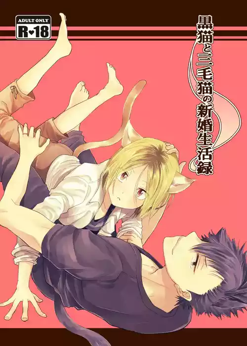 Download Kuroneko to Mikeneko no Shinkon Seikatsuroku