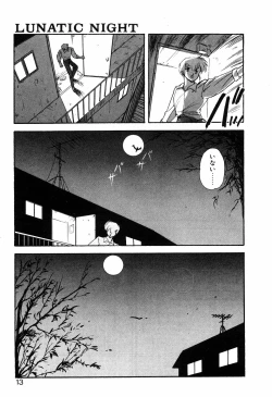 Page 12 of LUNATIC NIGHT I