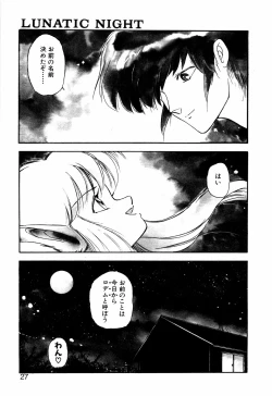 Page 26 of LUNATIC NIGHT I