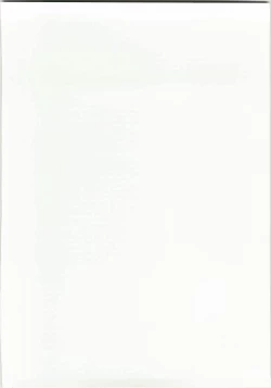 Page 2 of CS RADICAL