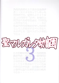 Page 2 of St. Margareta Youchikuen 3