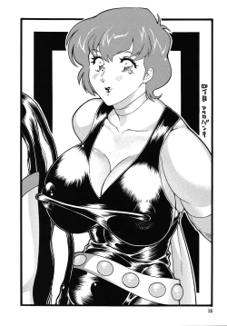 Page 30 of Gorippa 6