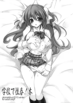 Page 1 of Gakkou de Seishun! Hon