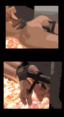 Page 14 of 姐妹肉