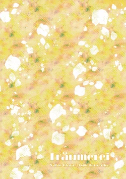 Page 30 of [TräumereiAnswer