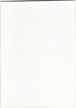 Page 2 of Mataikiden Maam 4