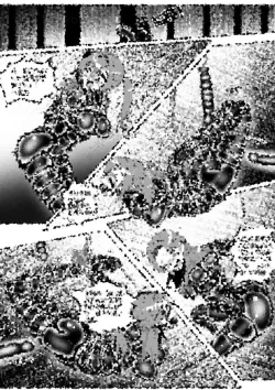 Page 393 of 我的妹妹玩捆绑失误了