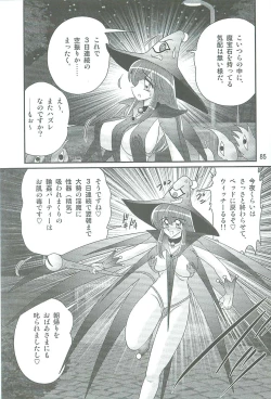 Page 88 of Seirei Tokusou Fairy Saber W Kegareta Rashin