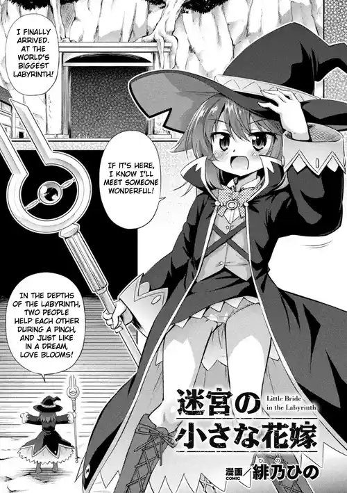 Download Meikyuu no Chiisana Hanayome | Little Bride in the Labyrinth